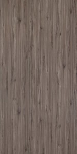 Vienna Beech