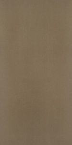 Bronze Mesh