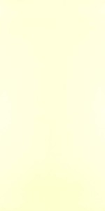 Mysore Ivory