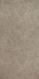 Euclid Grey