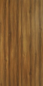 Snuff Elm