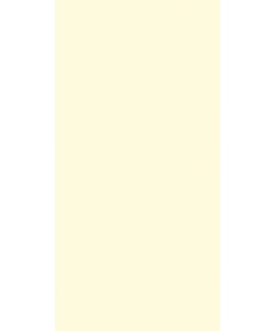 Mysore Ivory