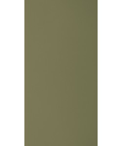 Pine Nut