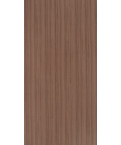 Xyloid Teak