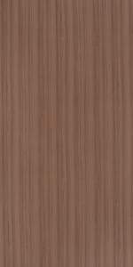 Xyloid Teak