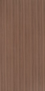 Xyloid Teak