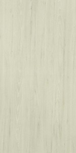 Argent Elm