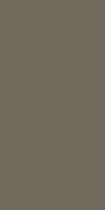 Pine Nut