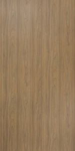 Rovigo Elm