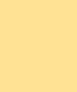 Light Orange