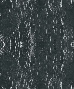 Seronic Black