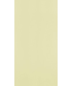 Mysore Ivory