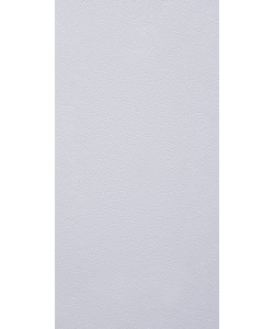Silver Grey