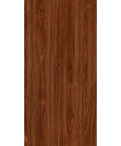 Midnight Acacia