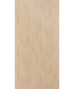 Mangfall Beech