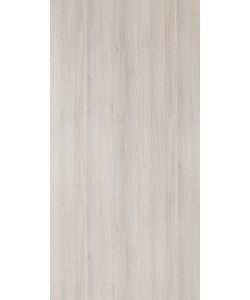 Munich Acacia