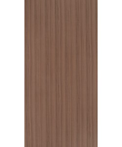 Xyloid Teak