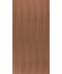 African Mahogany