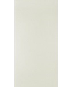 Silver Grey