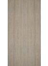 Rosenheim Elm